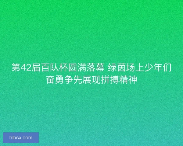 第42届百队杯圆满落幕 绿茵场上少年们奋勇争先展现拼搏精神