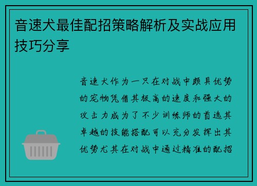 音速犬最佳配招策略解析及实战应用技巧分享